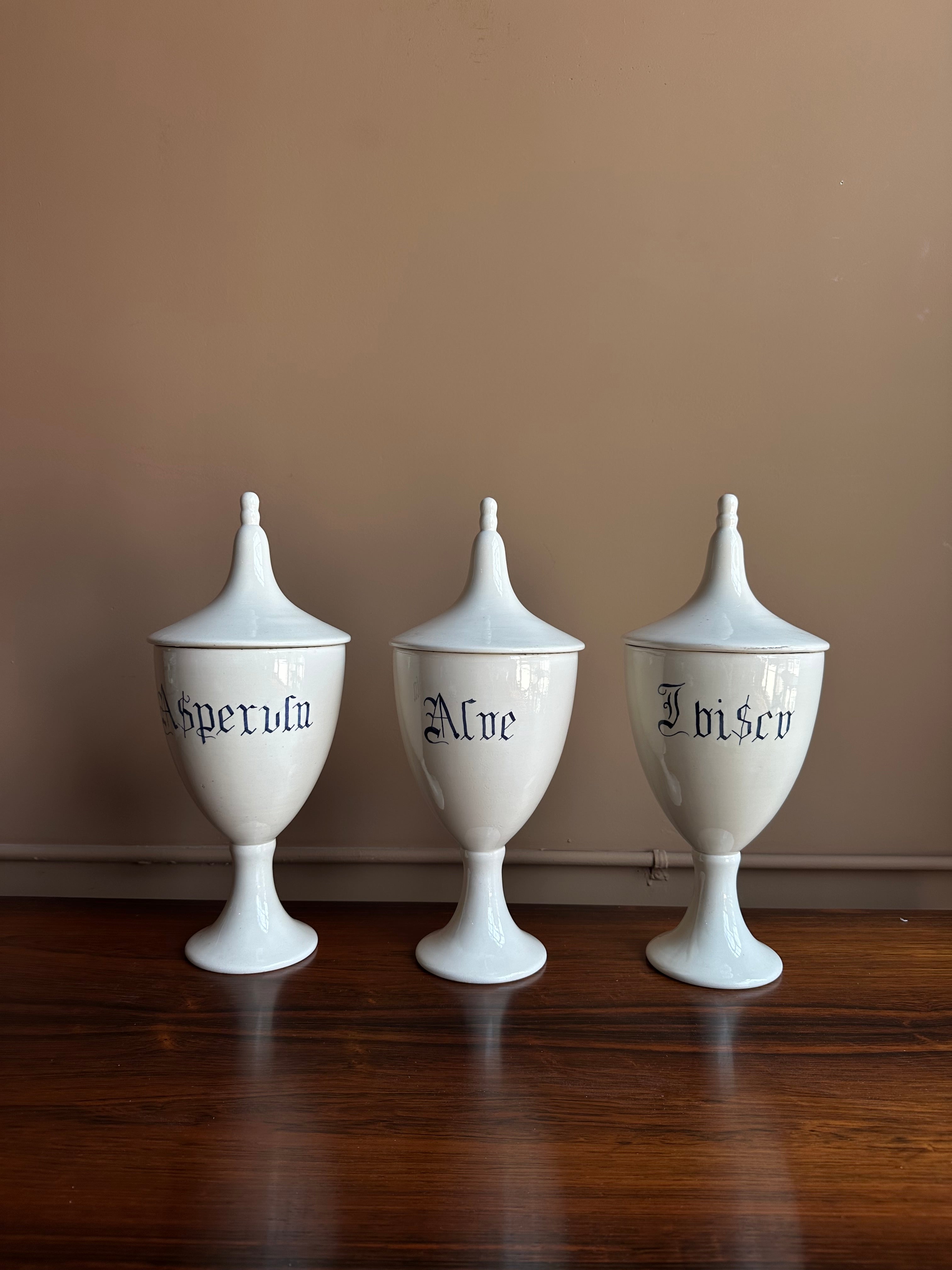 Set of 7 Antique Italian Ceramic Apothecary Jars
