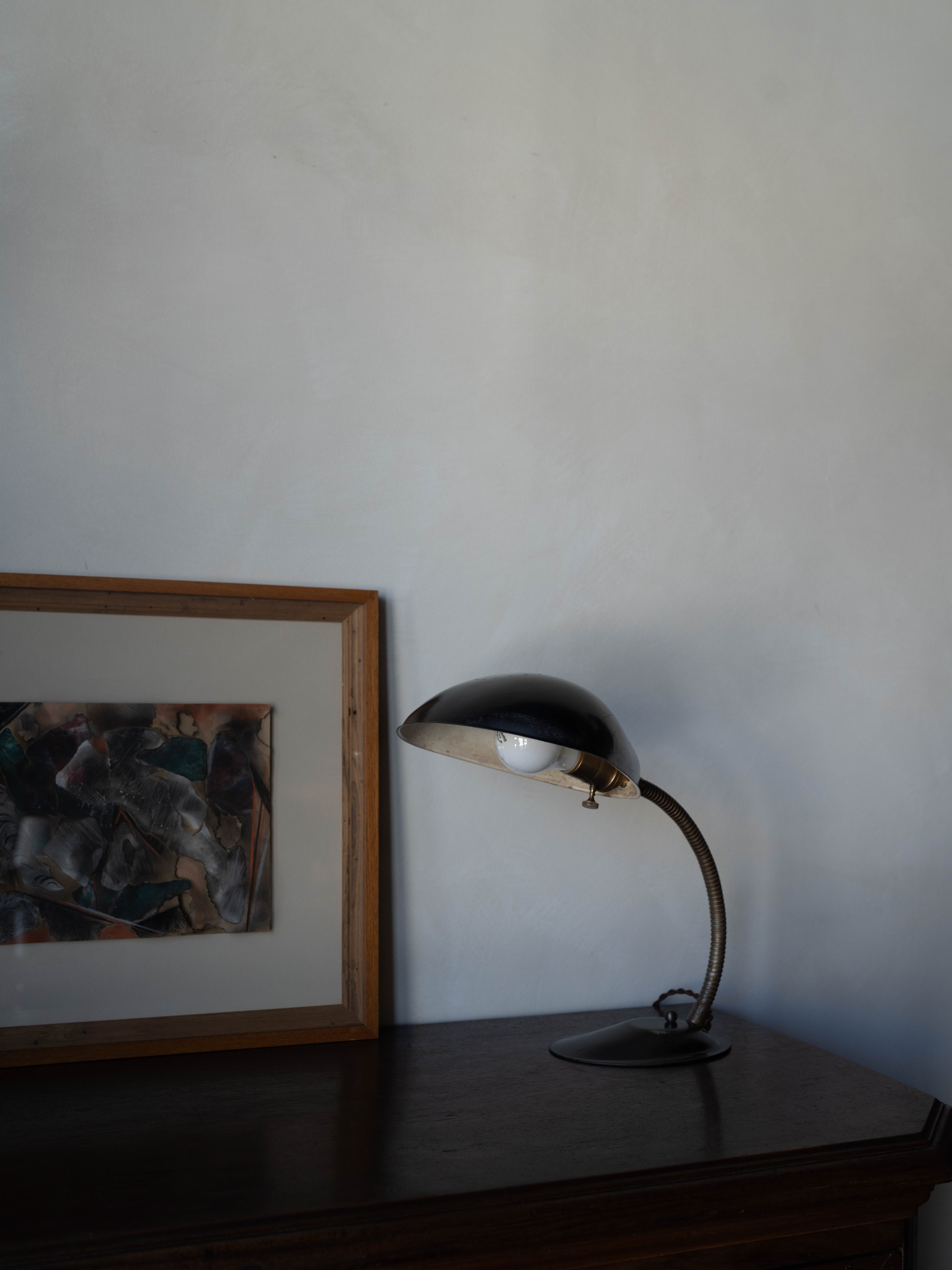 Vintage Gooseneck Lamp