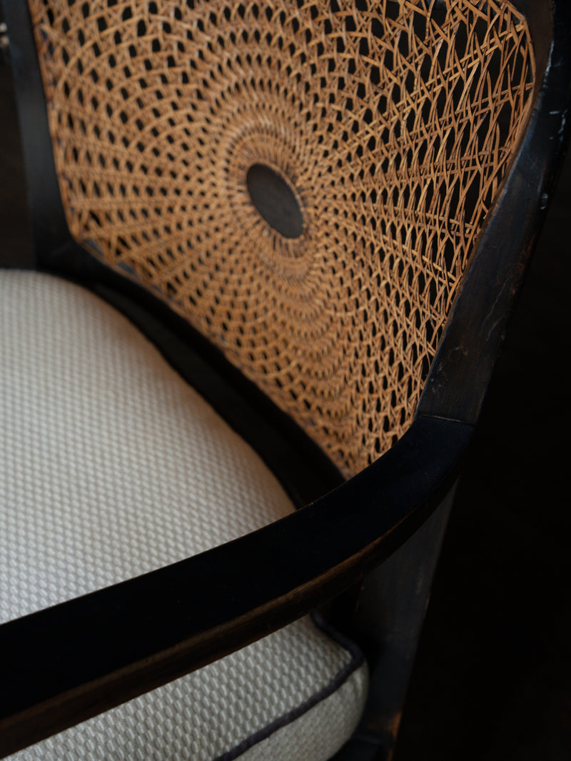 Rare Early 20thc Hand-Caned Chair and Sofa Set