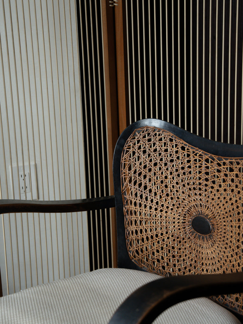 Rare Early 20thc Hand-Caned Chair and Sofa Set