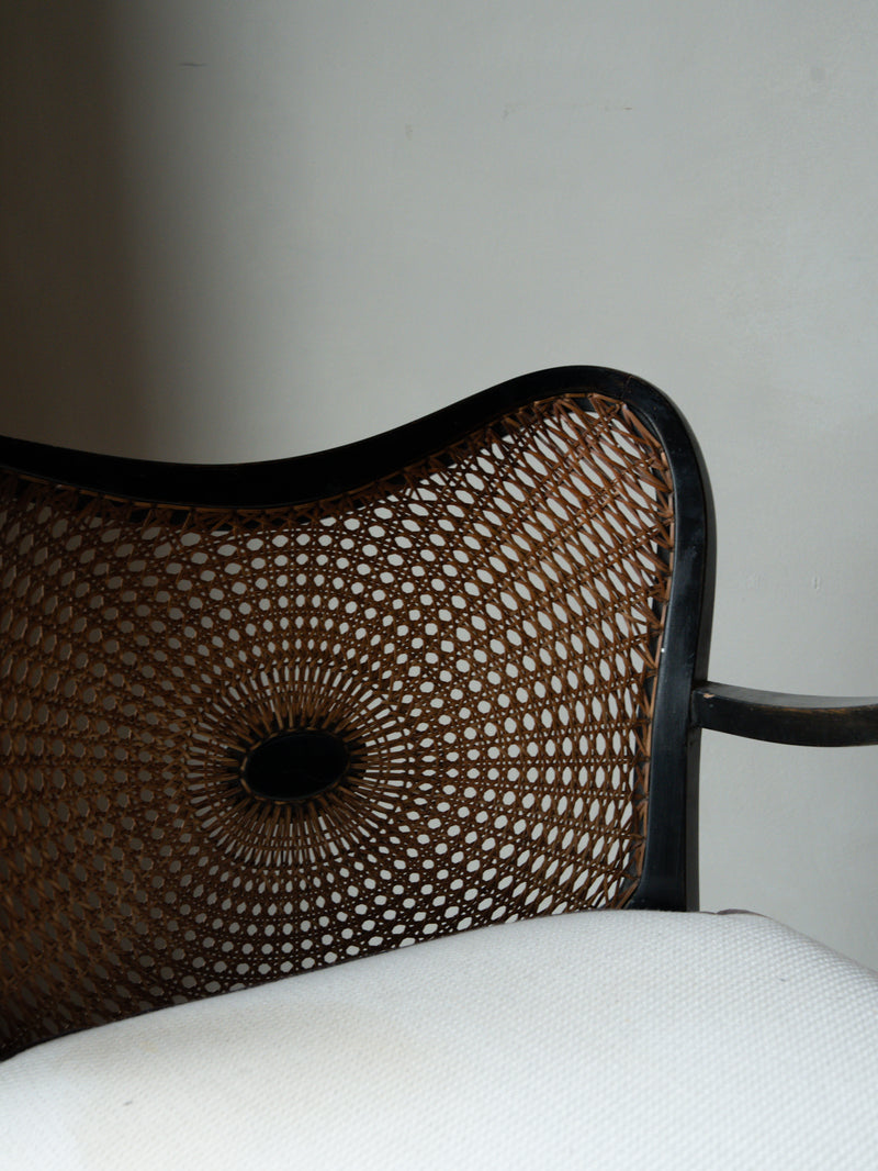 Rare Early 20thc Hand-Caned Chair and Sofa Set