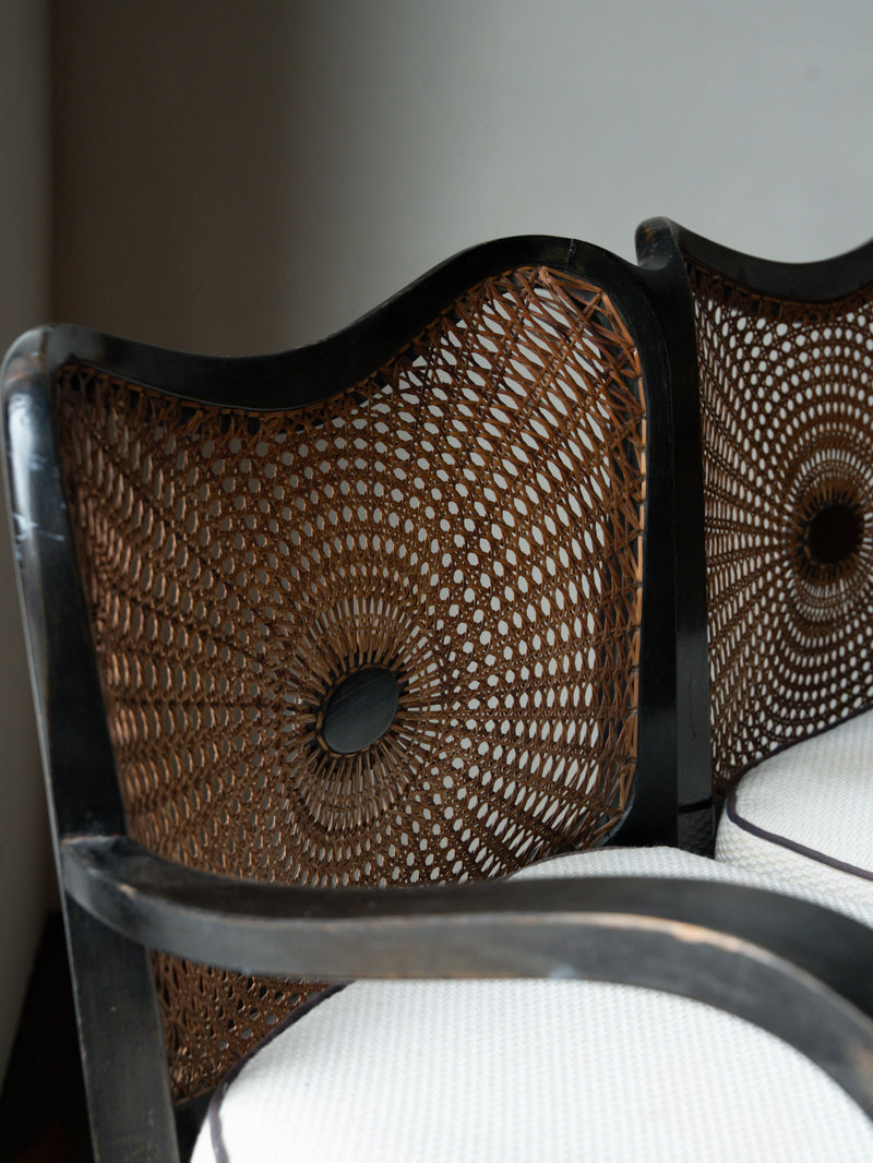 Rare Early 20thc Hand-Caned Chair and Sofa Set