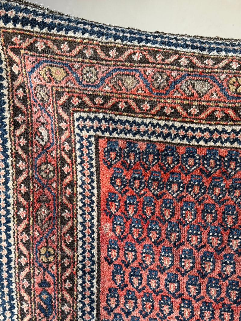 Vintage Persian Saraband Rug