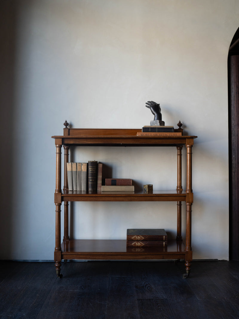 Victorian Bookshelf