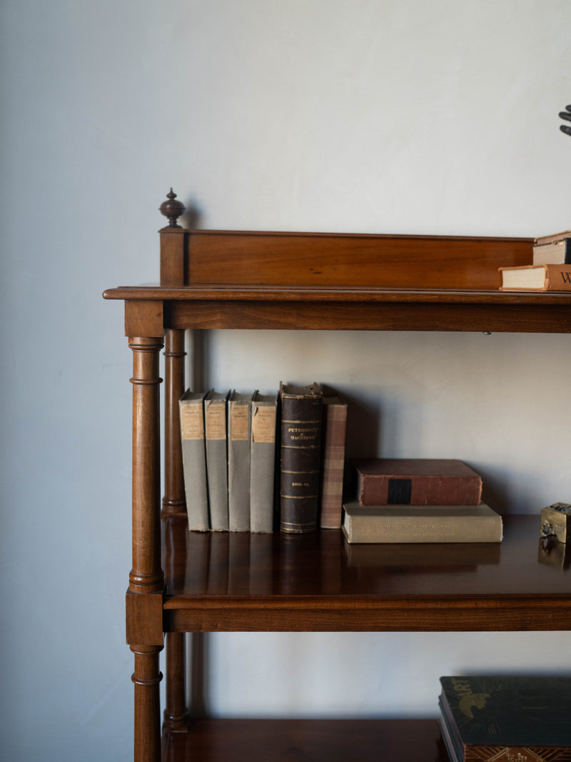 Victorian Bookshelf