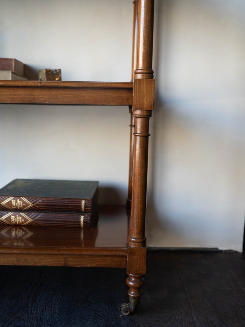 Victorian Bookshelf